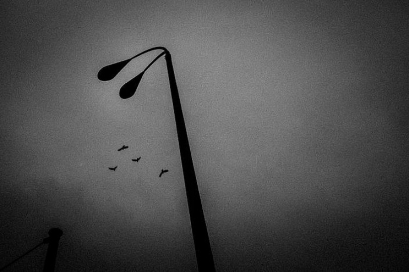 "All cats are grey": Night Berlin in the lens of Christian Reister