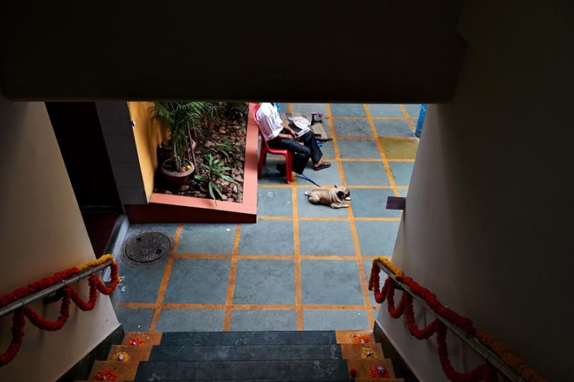 All Hindus Do IT, or a Real Indian Wedding All Hindus Do IT, or a Real Indian Wedding