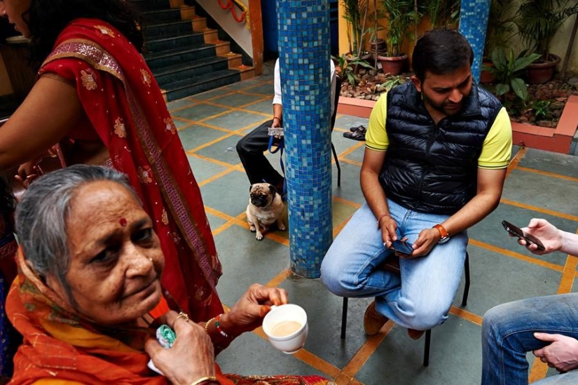 All Hindus Do IT, or a Real Indian Wedding All Hindus Do IT, or a Real Indian Wedding