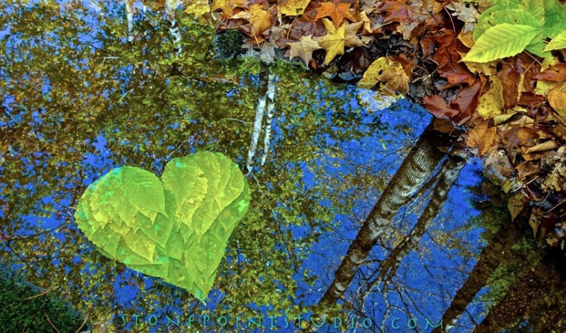 All love and happiness: Amazing installations by David Allen All love and happiness: Amazing installations by David Allen