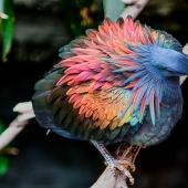 Amazing outdoor sauna - the largest in the world