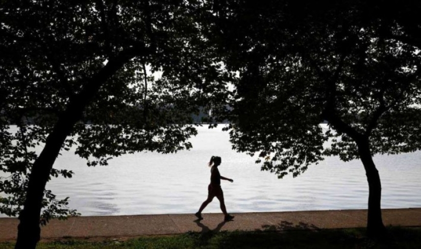 Amazing Research Results