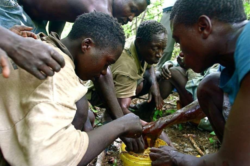 Amazing skills and abilities of the tribal peoples of the world Amazing skills and abilities of the tribal peoples of the world