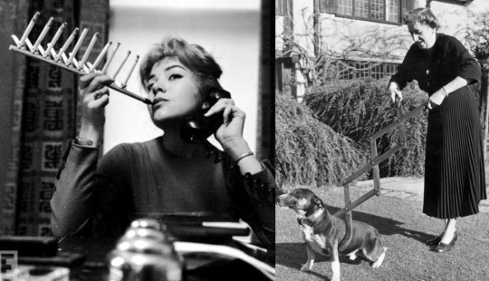 Amazingly crazy inventions of the XX century Amazingly crazy inventions of the XX century