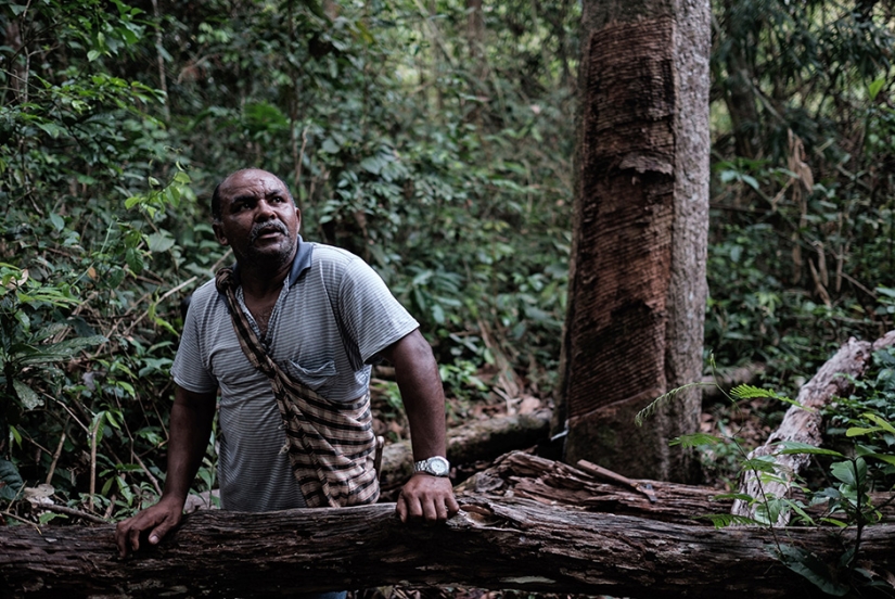 Amazon Love Factory Amazon Love Factory