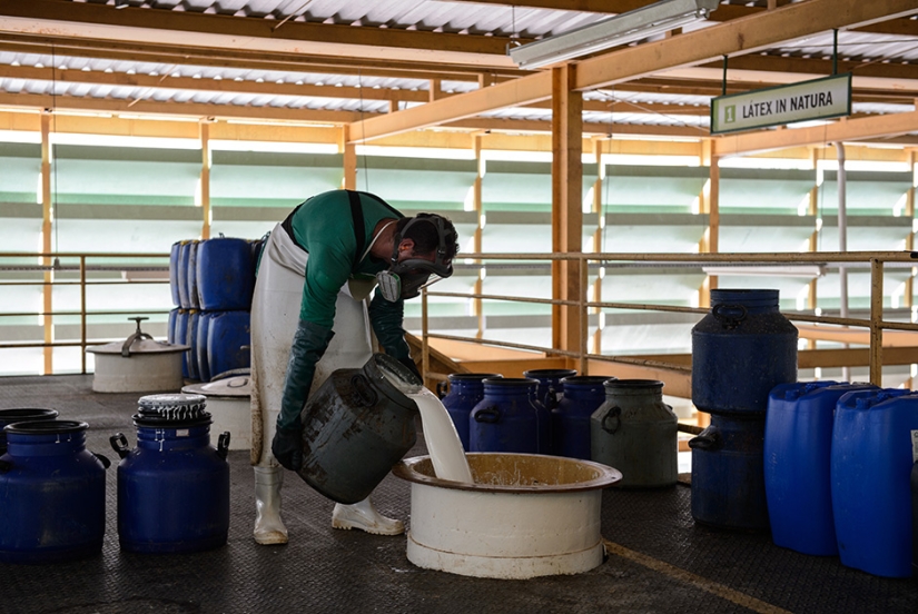 Amazon Love Factory Amazon Love Factory