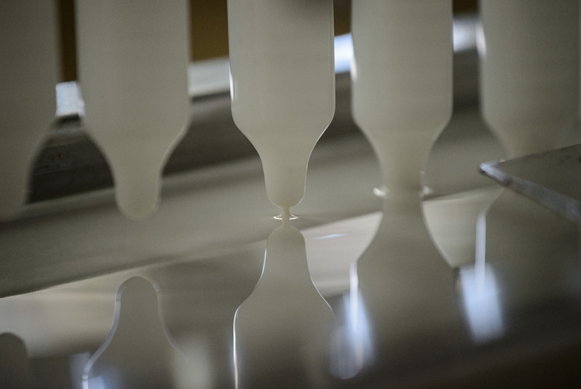 Amazon Love Factory Amazon Love Factory