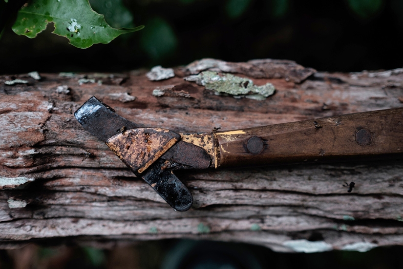 Amazon Love Factory Amazon Love Factory