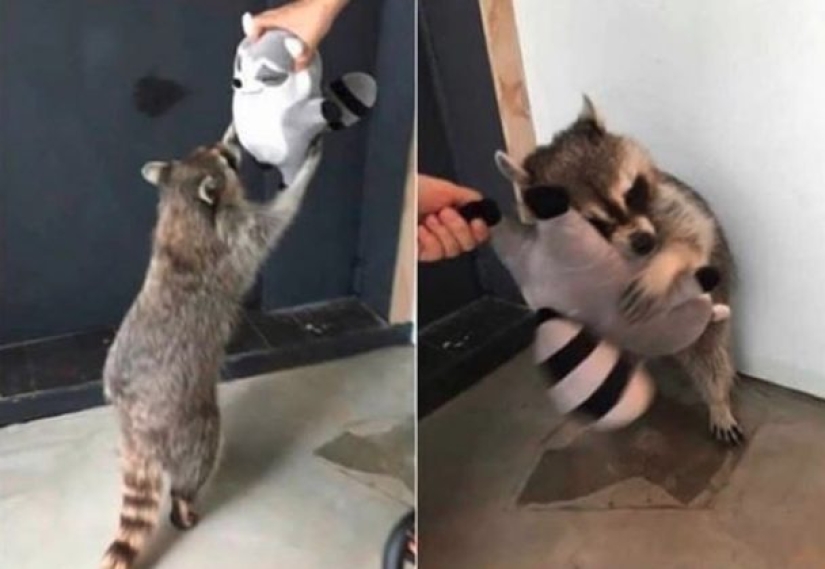 Amor animal que derretirá hasta el corazón más frío