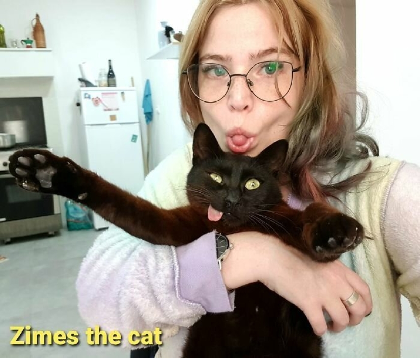 Amor esponjoso: cómo el gato rescatado Tzimes con la lengua colgando encontró una familia