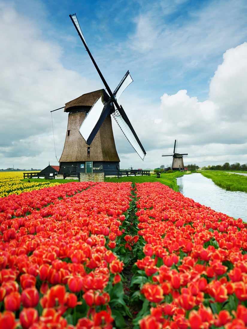 Amsterdam Is Not What You Know Amsterdam Is Not What You Know