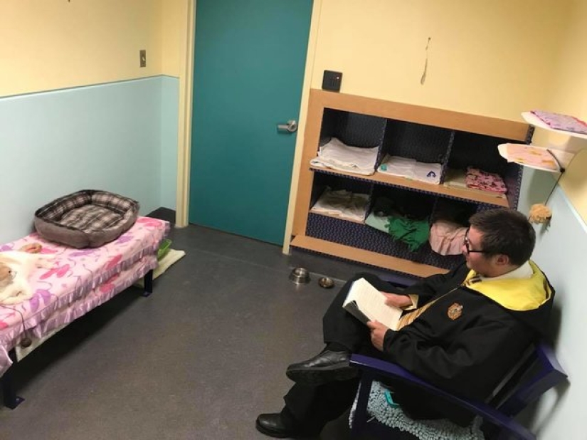 An American tamed a homeless blind cat by reading Harry Potter books to him An American tamed a homeless blind cat by reading Harry Potter books to him