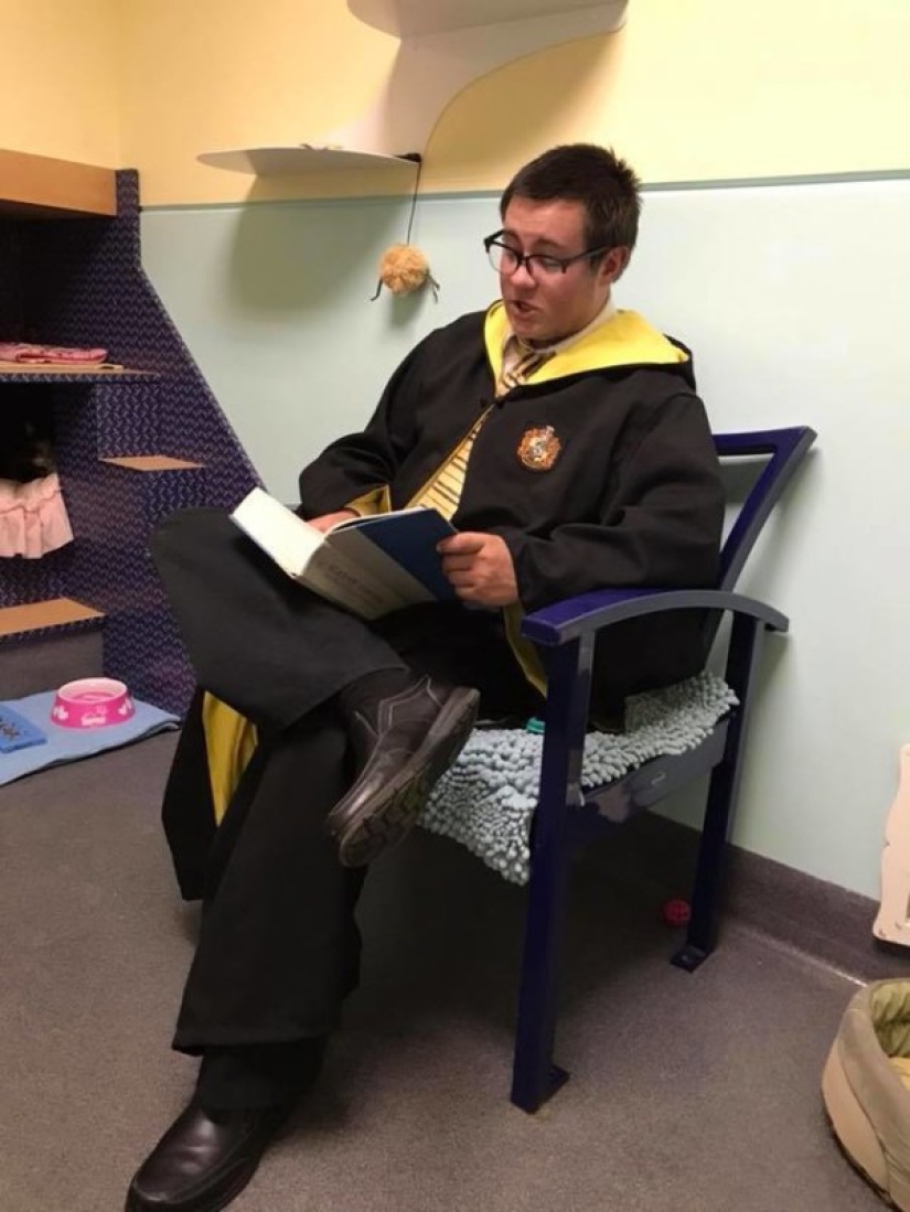 An American tamed a homeless blind cat by reading Harry Potter books to him An American tamed a homeless blind cat by reading Harry Potter books to him