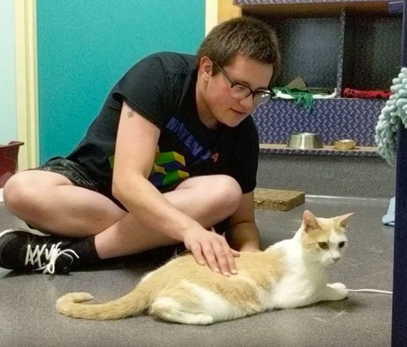 An American tamed a homeless blind cat by reading Harry Potter books to him An American tamed a homeless blind cat by reading Harry Potter books to him