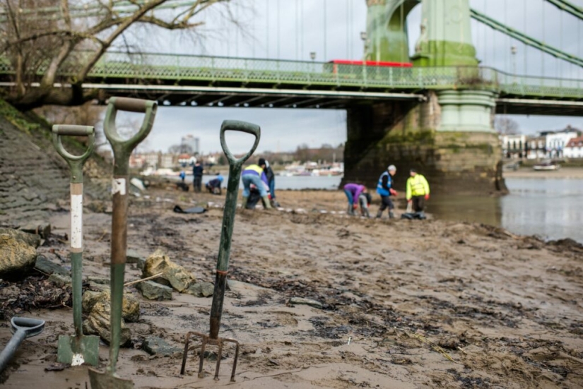 An island of wet wipes has appeared in London