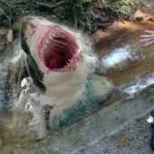 "And yet he survived": what happens if you leave a child to a couple of designers