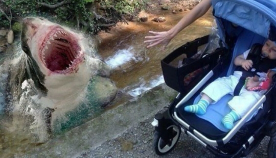 "And yet he survived": what happens if you leave a child to a couple of designers