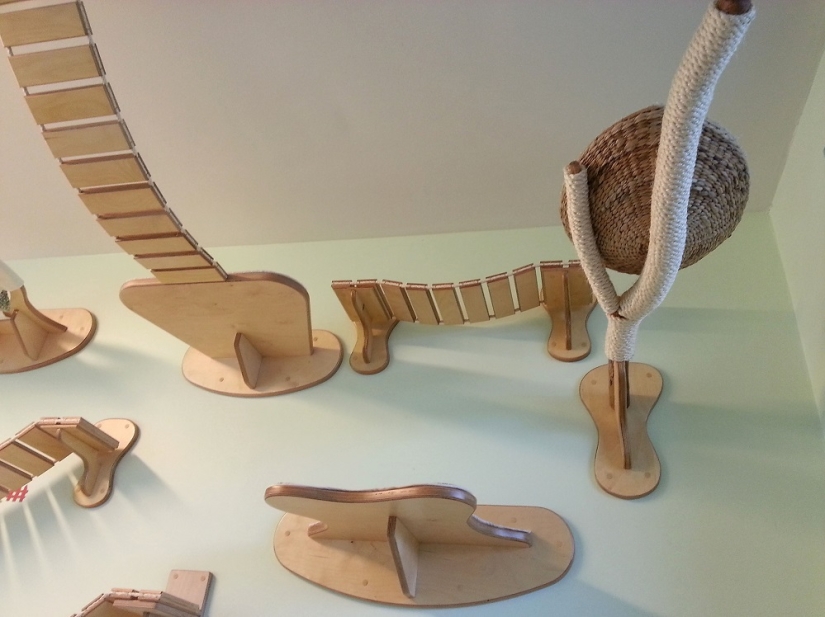 And you play, play, play, play: playgrounds for cats