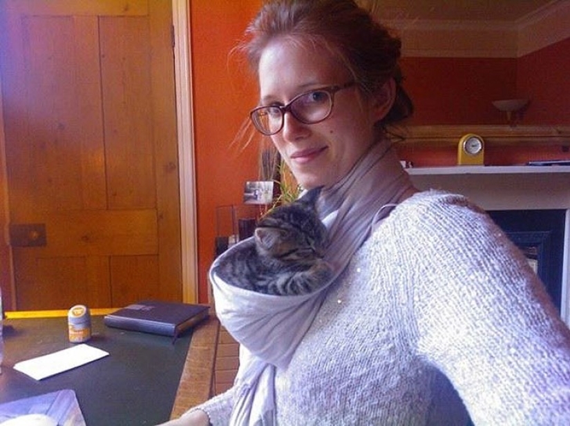 Animales divertidos que necesitan la atención del propietario en este momento