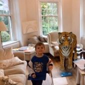 Animales favoritos en 3D: Google te da la oportunidad de ver la proyección de animales en la casa