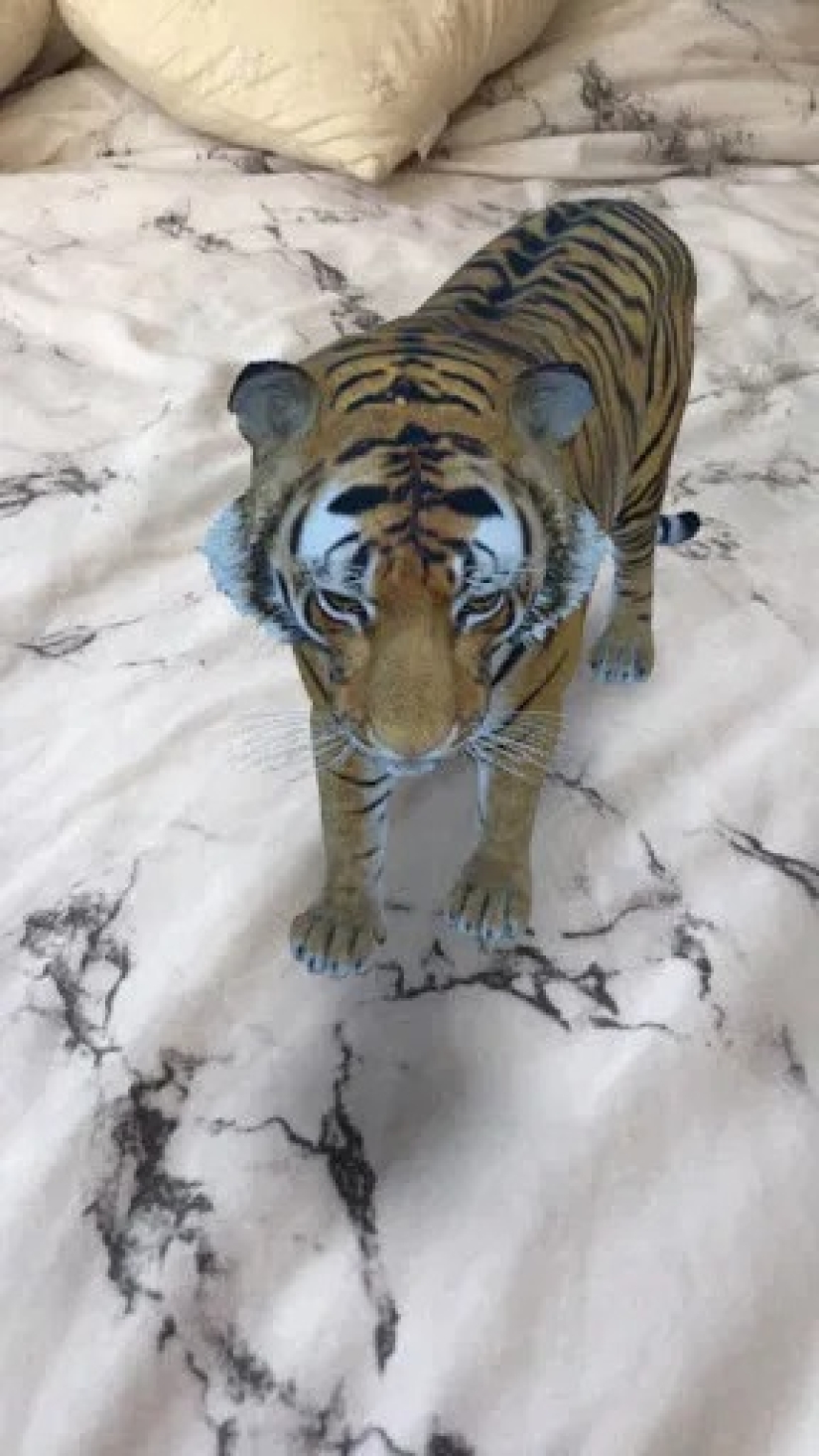 Animales favoritos en 3D: Google te da la oportunidad de ver la proyección de animales en la casa Animales favoritos en 3D: Google te da la oportunidad de ver la proyección de animales en la casa