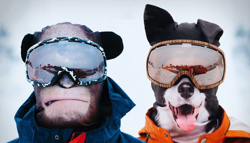 Animals on skis: designers from Canada have created "animal" balaclavas