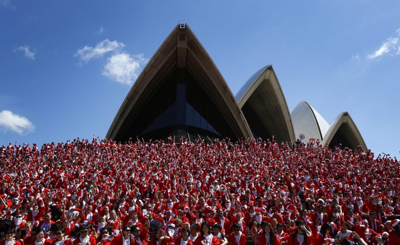 Año Nuevo y Navidad al estilo australiano: canguros en lugar de ciervos y Papá Noel en una tabla con remo