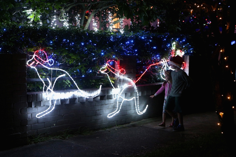 Año Nuevo y Navidad al estilo australiano: canguros en lugar de ciervos y Papá Noel en una tabla con remo