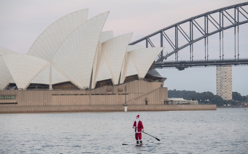 Año Nuevo y Navidad al estilo australiano: canguros en lugar de ciervos y Papá Noel en una tabla con remo