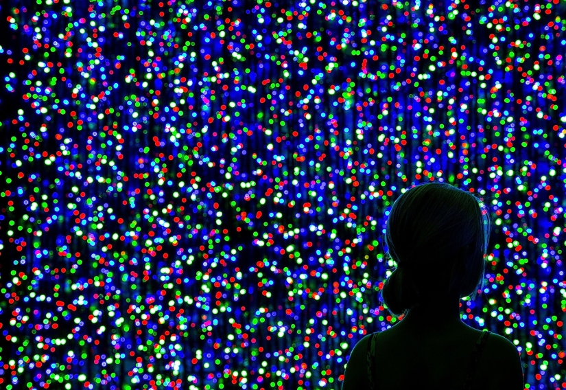 Año Nuevo y Navidad al estilo australiano: canguros en lugar de ciervos y Papá Noel en una tabla con remo