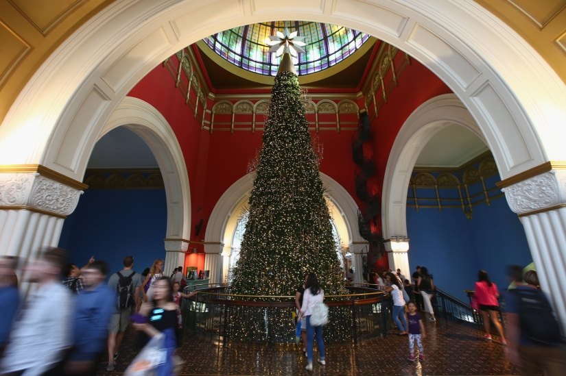 Año Nuevo y Navidad al estilo australiano: canguros en lugar de ciervos y Papá Noel en una tabla con remo