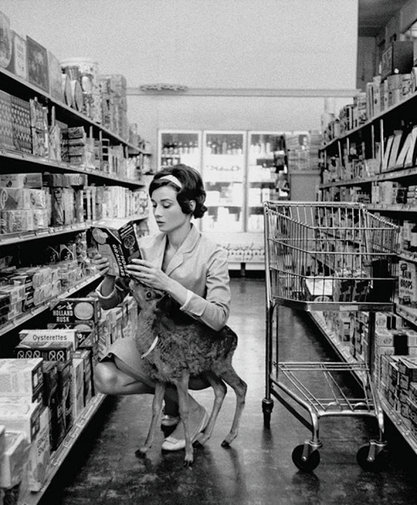 Antes y después: el proceso de colorear fotos en blanco y negro en una animación fascinante