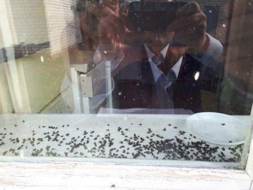 Anti-rating of the most infernal hospitals in Russia