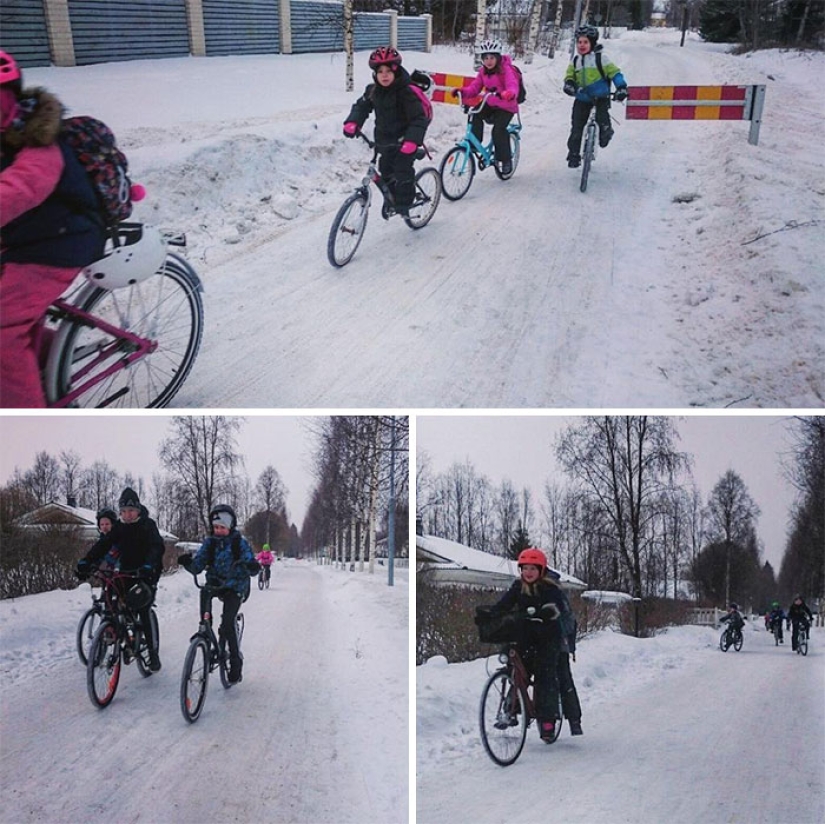 Anticongelante en la sangre: los niños finlandeses van en bicicleta a la escuela a una temperatura de — 17C