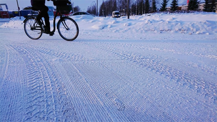 Antifreeze in the blood: Finnish children ride bicycles to school at a temperature of — 17C