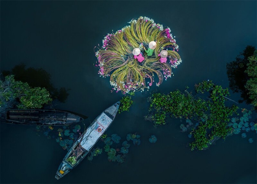 Anuncio de los ganadores de SkyPixel: las mejores fotos tomadas por drones