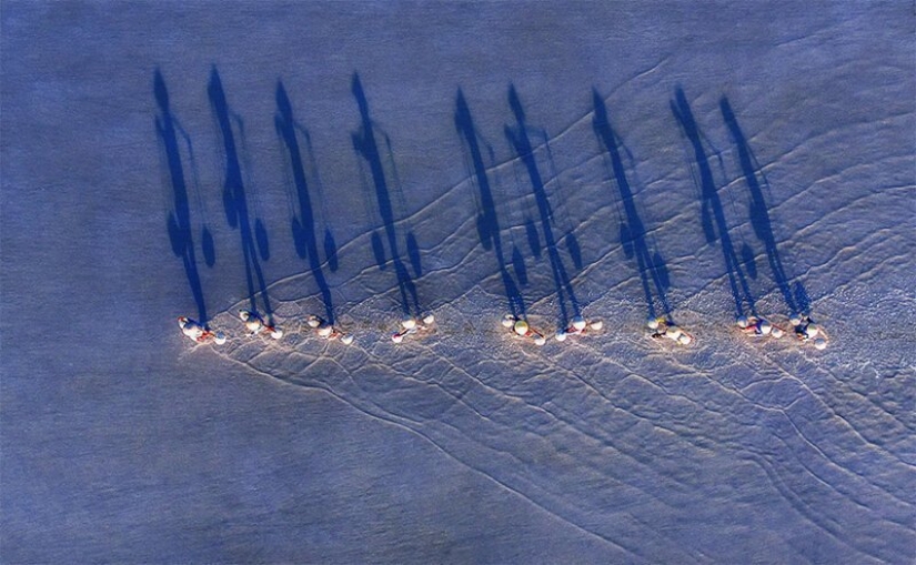 Anuncio de los ganadores de SkyPixel: las mejores fotos tomadas por drones