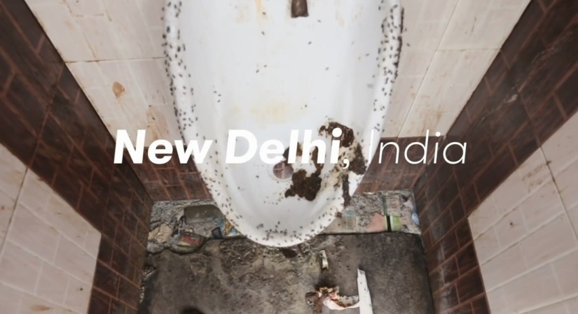 Around the world for 80 toilets Around the world for 80 toilets