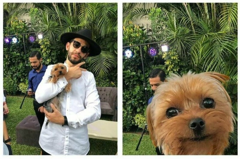 "¡Arregla mi foto, James!": 30 nuevas alteraciones del troll principal de Photoshop de nuestro tiempo "¡Arregla mi foto, James!": 30 nuevas alteraciones del troll principal de Photoshop de nuestro tiempo