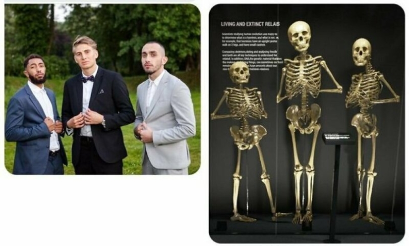 "¡Arregla mi foto, James!": 30 nuevas alteraciones del troll principal de Photoshop de nuestro tiempo "¡Arregla mi foto, James!": 30 nuevas alteraciones del troll principal de Photoshop de nuestro tiempo