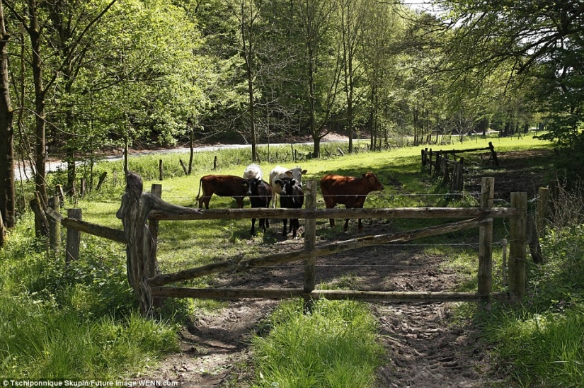 Artista alemán volvió a ocultar modelos desnudas en fotos Artista alemán volvió a ocultar modelos desnudas en fotos