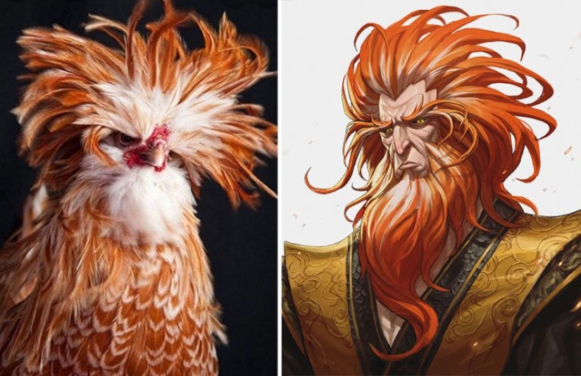Artista coreano convierte animales en personajes originales que parecen de anime Artista coreano convierte animales en personajes originales que parecen de anime