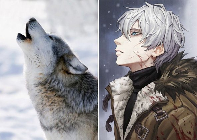 Artista coreano convierte animales en personajes originales que parecen de anime Artista coreano convierte animales en personajes originales que parecen de anime