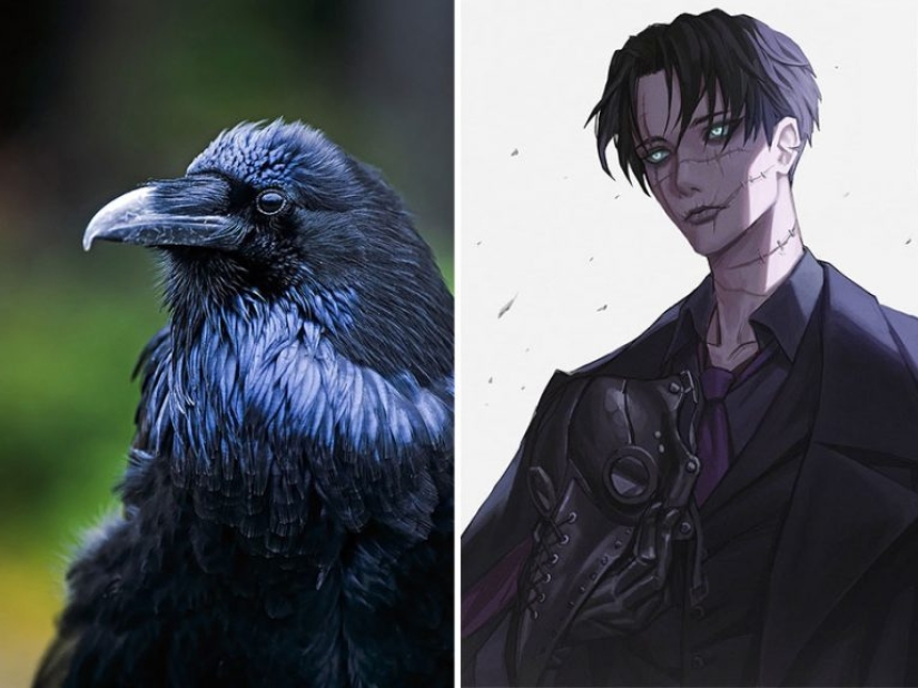 Artista coreano convierte animales en personajes originales que parecen de anime Artista coreano convierte animales en personajes originales que parecen de anime