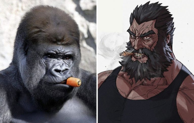 Artista coreano convierte animales en personajes originales que parecen de anime Artista coreano convierte animales en personajes originales que parecen de anime