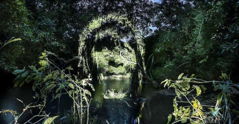 Artista francés pinta con luz en la selva amazónica