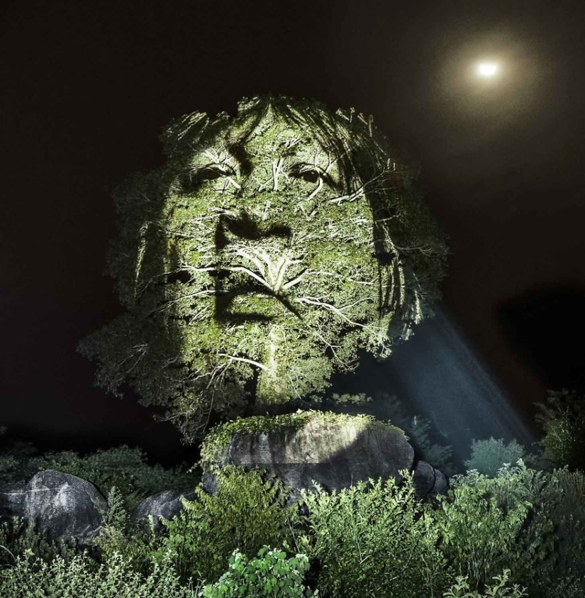 Artista francés pinta con luz en la selva amazónica