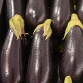 As an ordinary eggplant, it became an occasion for litigation nine years long and worth 8 thousand euros
