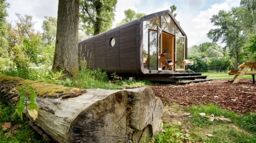 Assembled in 1 day, will last 100 years: the Dutch have created a fully functional cardboard house Assembled in 1 day, will last 100 years: the Dutch have created a fully functional cardboard house