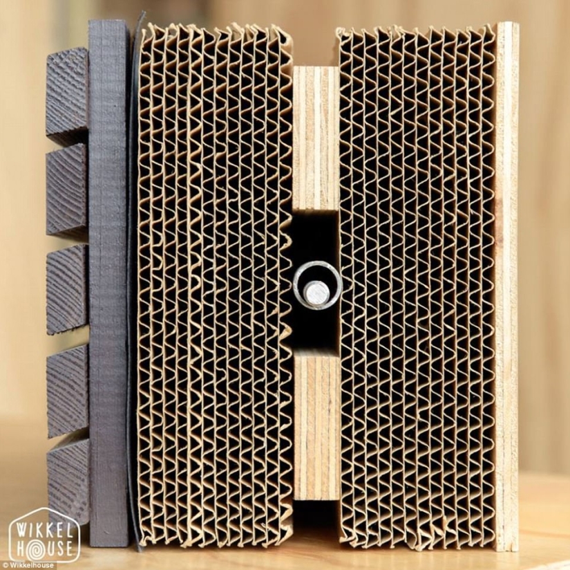 Assembled in 1 day, will last 100 years: the Dutch have created a fully functional cardboard house Assembled in 1 day, will last 100 years: the Dutch have created a fully functional cardboard house